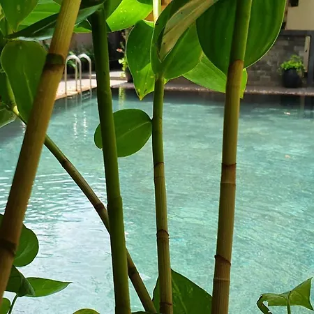Tevi Residence Siem Reap