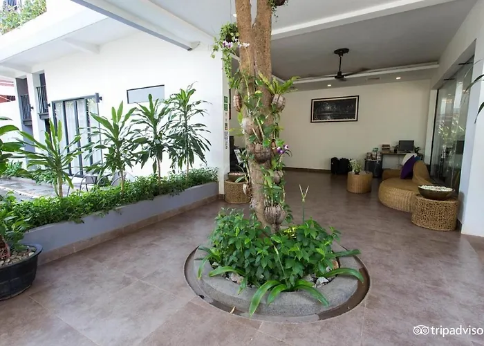 Tevi Hotel