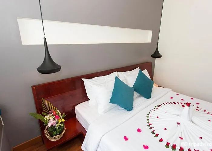 Tevi Hotel
